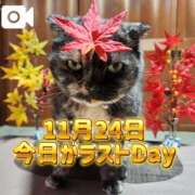 ヒメ日記 2025/11/24 03:26 投稿 花咲ななみ ZERO-i