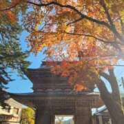 ヒメ日記 2025/11/27 20:10 投稿 花咲ななみ ZERO-i