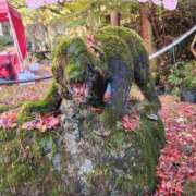 ヒメ日記 2025/11/27 21:19 投稿 花咲ななみ ZERO-i