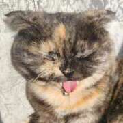 ヒメ日記 2025/11/29 09:56 投稿 花咲ななみ ZERO-i