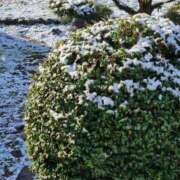 ヒメ日記 2025/12/04 09:51 投稿 花咲ななみ ZERO-i