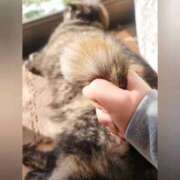 ヒメ日記 2025/12/05 00:26 投稿 花咲ななみ ZERO-i