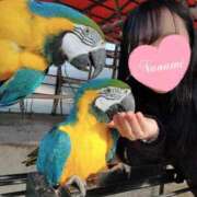 ヒメ日記 2025/12/06 10:22 投稿 花咲ななみ ZERO-i