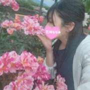 ヒメ日記 2025/12/08 01:46 投稿 花咲ななみ ZERO-i