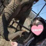 花咲ななみ １４日の感謝💑 ZERO-i