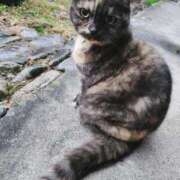 ヒメ日記 2025/12/17 17:46 投稿 花咲ななみ ZERO-i