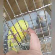 ヒメ日記 2025/12/18 22:26 投稿 花咲ななみ ZERO-i