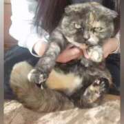 ヒメ日記 2025/12/20 09:56 投稿 花咲ななみ ZERO-i