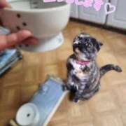 ヒメ日記 2025/12/25 01:47 投稿 花咲ななみ ZERO-i