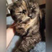 ヒメ日記 2025/12/28 01:29 投稿 花咲ななみ ZERO-i