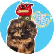 ヒメ日記 2025/12/31 16:06 投稿 花咲ななみ ZERO-i