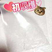 ヒメ日記 2026/01/04 00:46 投稿 花咲ななみ ZERO-i