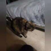 ヒメ日記 2026/01/11 23:16 投稿 花咲ななみ ZERO-i