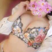 ヒメ日記 2026/01/15 00:16 投稿 花咲ななみ ZERO-i