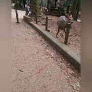 ヒメ日記 2026/01/15 00:36 投稿 花咲ななみ ZERO-i