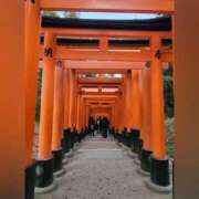 ヒメ日記 2026/01/16 21:36 投稿 花咲ななみ ZERO-i