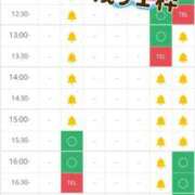 ヒメ日記 2026/01/19 18:01 投稿 花咲ななみ ZERO-i