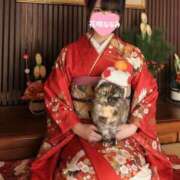 ヒメ日記 2026/01/30 00:16 投稿 花咲ななみ ZERO-i