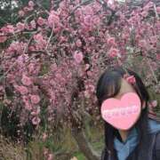 ヒメ日記 2026/02/03 01:56 投稿 花咲ななみ ZERO-i