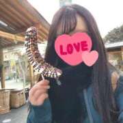 ヒメ日記 2026/02/12 15:06 投稿 花咲ななみ ZERO-i