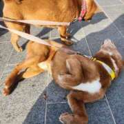 ヒメ日記 2026/02/12 15:36 投稿 花咲ななみ ZERO-i