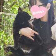 ヒメ日記 2026/02/13 20:56 投稿 花咲ななみ ZERO-i