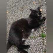 ヒメ日記 2026/02/14 00:46 投稿 花咲ななみ ZERO-i