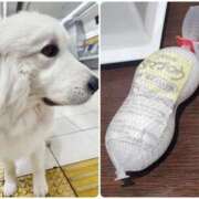 ヒメ日記 2026/02/18 00:46 投稿 花咲ななみ ZERO-i