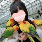 ヒメ日記 2026/02/21 10:18 投稿 花咲ななみ ZERO-i