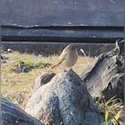 ヒメ日記 2026/02/28 09:16 投稿 花咲ななみ ZERO-i