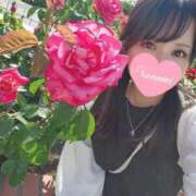 ヒメ日記 2026/03/03 00:16 投稿 花咲ななみ ZERO-i