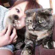 ヒメ日記 2026/03/06 11:16 投稿 花咲ななみ ZERO-i