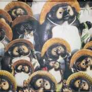 ヒメ日記 2026/03/07 00:36 投稿 花咲ななみ ZERO-i