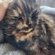 ヒメ日記 2026/03/07 10:06 投稿 花咲ななみ ZERO-i