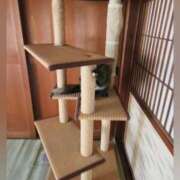 ヒメ日記 2026/03/11 09:36 投稿 花咲ななみ ZERO-i