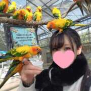 ヒメ日記 2026/03/13 21:01 投稿 花咲ななみ ZERO-i