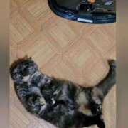 ヒメ日記 2026/03/18 07:56 投稿 花咲ななみ ZERO-i