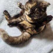 ヒメ日記 2026/03/26 00:46 投稿 花咲ななみ ZERO-i