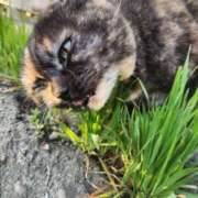 ヒメ日記 2026/03/28 01:29 投稿 花咲ななみ ZERO-i