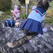 ヒメ日記 2026/04/08 08:26 投稿 花咲ななみ ZERO-i