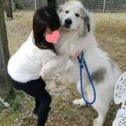 ヒメ日記 2026/04/11 10:06 投稿 花咲ななみ ZERO-i