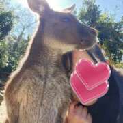 ヒメ日記 2026/04/14 01:26 投稿 花咲ななみ ZERO-i