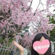 ヒメ日記 2026/04/24 14:56 投稿 花咲ななみ ZERO-i