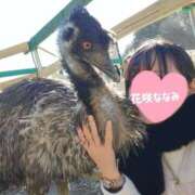 ヒメ日記 2026/05/09 09:26 投稿 花咲ななみ ZERO-i