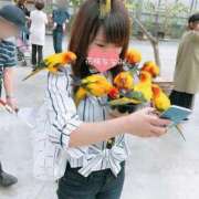 ヒメ日記 2026/05/11 10:16 投稿 花咲ななみ ZERO-i