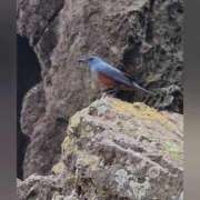 ヒメ日記 2026/06/12 21:46 投稿 花咲ななみ ZERO-i