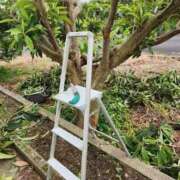 ヒメ日記 2026/06/18 00:46 投稿 花咲ななみ ZERO-i