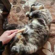 ヒメ日記 2026/07/12 10:09 投稿 花咲ななみ ZERO-i