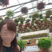 ヒメ日記 2026/09/08 17:06 投稿 花咲ななみ ZERO-i