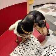 ヒメ日記 2026/03/16 10:59 投稿 あやね 長崎佐世保ちゃんこ